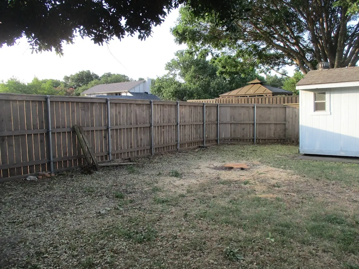 Cleared yard after professional tree removal in Aladdin
